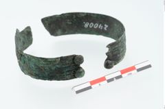 Foto von Bronzebandarmreif (NHMW-PRAE-024008)